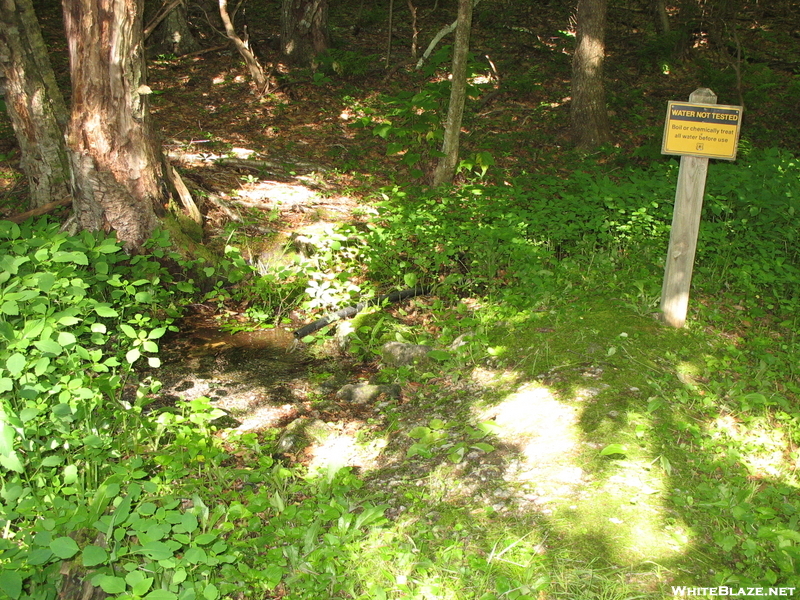 Piped Spring At Cow Camp Gap Shelter