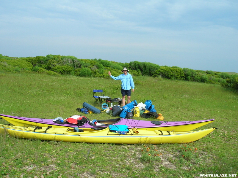 The Kayaks