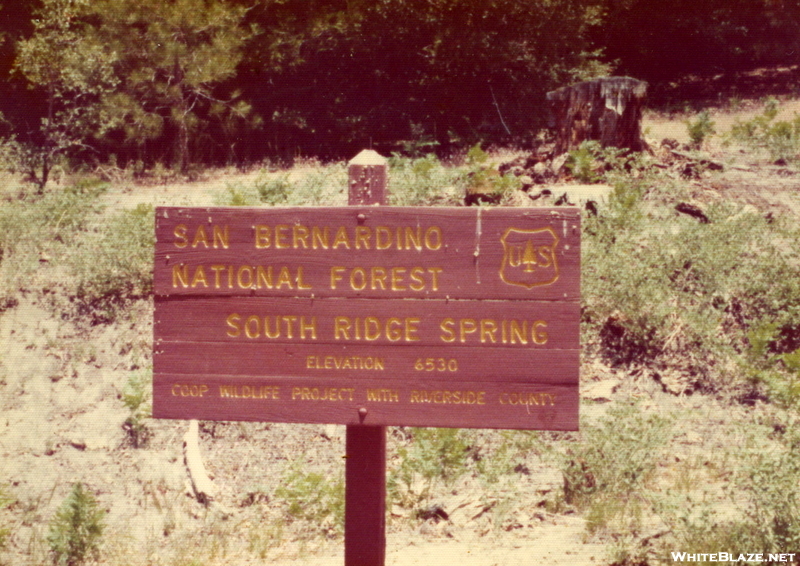 San Bernadino Mountains Ca