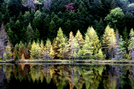 Fall Colors by Pit Stop in Views in Maine