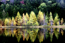 Fall Colors by Pit Stop in Views in Maine