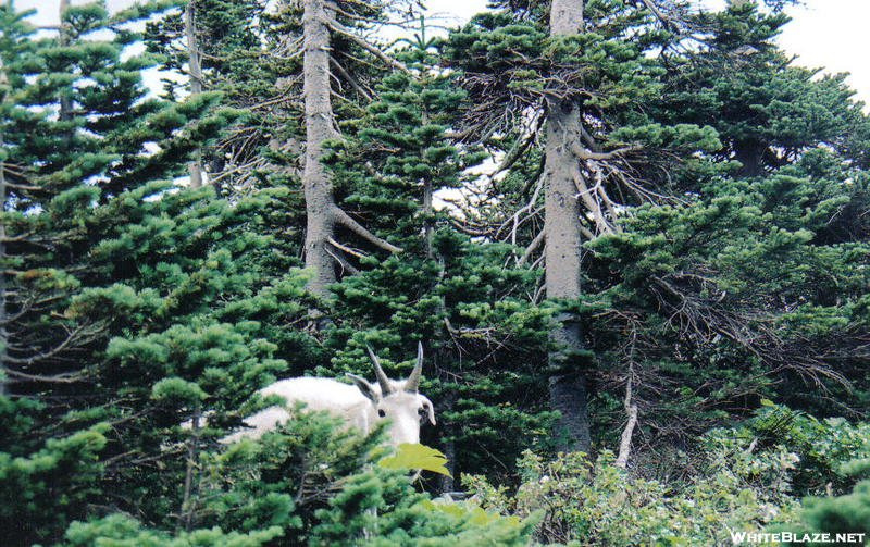 Glacier National Park