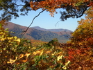 Great Smoky Mountains by 10aseejed in Day Hikers