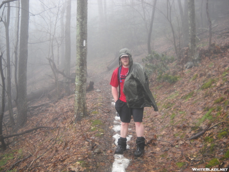 Mt Cammerer Trail / At At Cosby , Tn