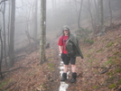 Mt Cammerer Trail / At At Cosby , Tn by 10aseejed in Section Hikers