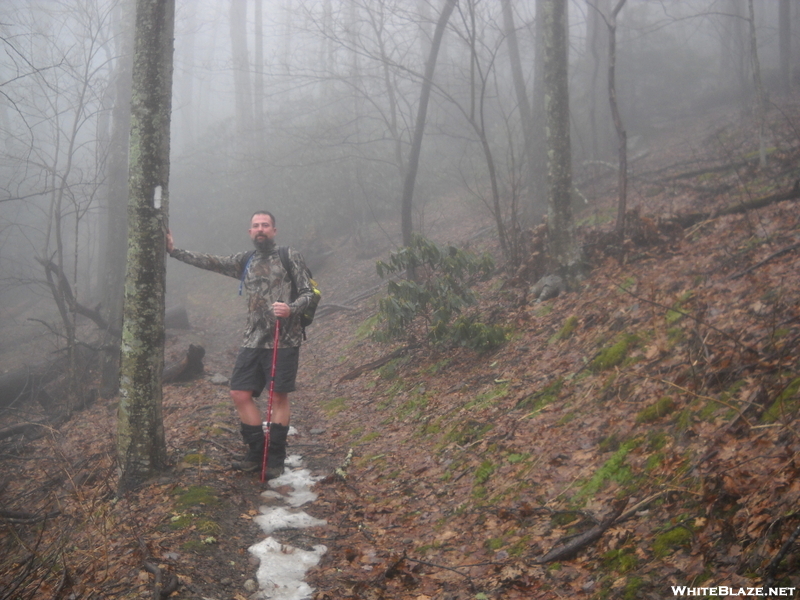 Mt Cammerer Trail / At At Cosby , Tn