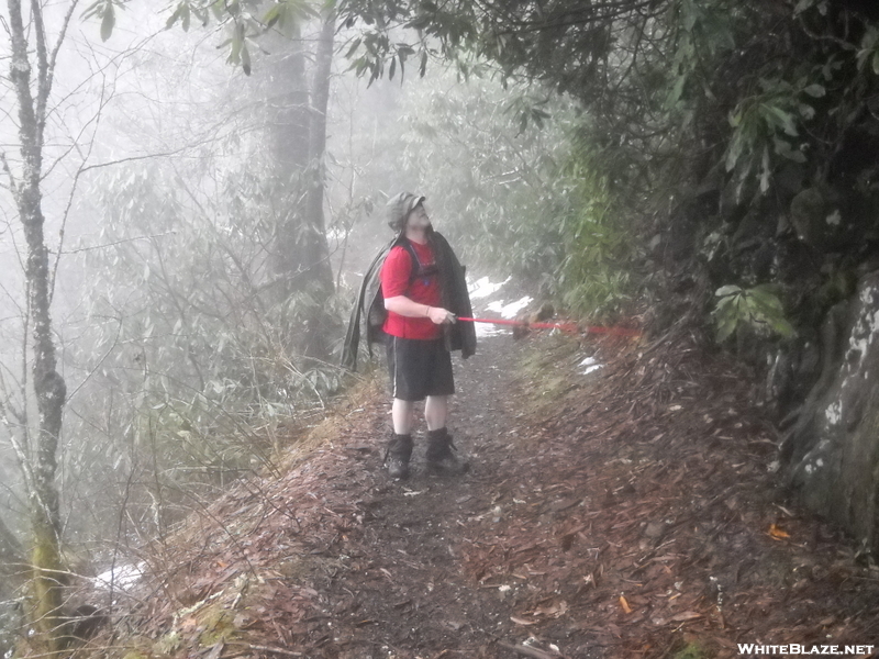 Mt Cammerer Trail / At At Cosby , Tn