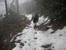 Mt Cammerer Trail / At At Cosby , Tn by 10aseejed in Section Hikers