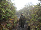 Mt Cammerer Trail / At At Cosby , Tn by 10aseejed in Section Hikers