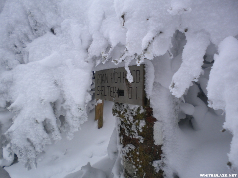 Roan Mt Shelter