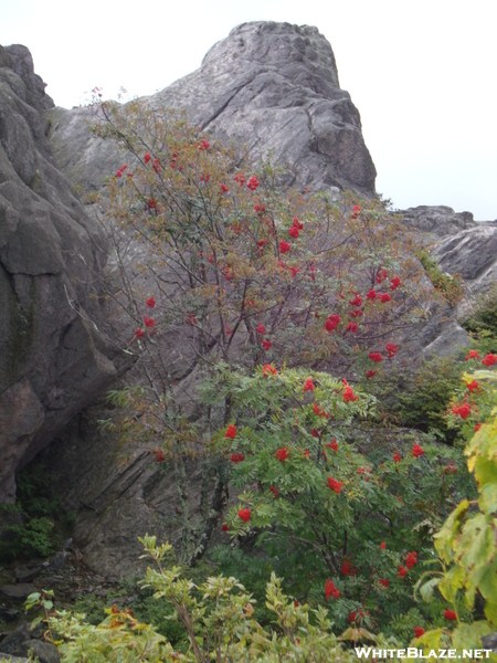 Grayson Highlands