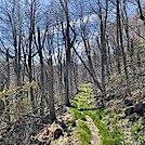 1153 2024.04.16 AT NOBO South Of Elkwallow Gap by Attila in Trail & Blazes in Virginia & West Virginia