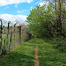 1164 2024.04.18 AT NOBO Along Smithsonian Conservation Biology Institute Fence by Attila in Trail & Blazes in Virginia & West Virginia