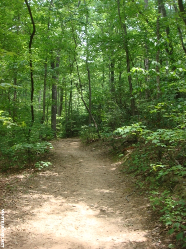 0003 2009.07.11 Amicalola Falls State Park Approach Trail