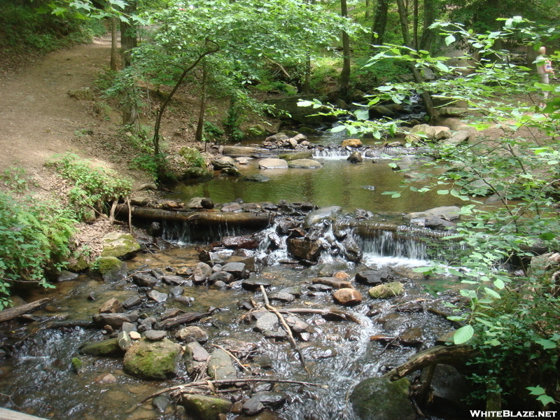 0005 2009.07.11 Amicalola Falls State Park Approach Trail Creek