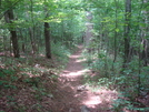 0009 2009.07.11 Approach Trail