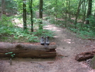 0011 2009.07.11 Hiking Boots Left On Trail by Attila in Approach Trail