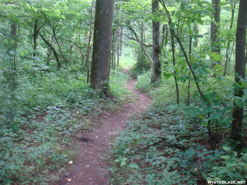 0021 2009.07.12 Approach Trail