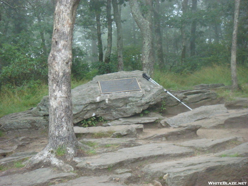 0026 2009.07.12 Springer Mountain Cnf Plaque