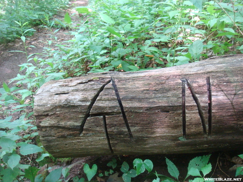 0040 2009.07.13 Appalachian Trail North Sign