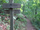 0043 2009.07.14 Trail To Woody Gap by Attila in Trail & Blazes in Georgia