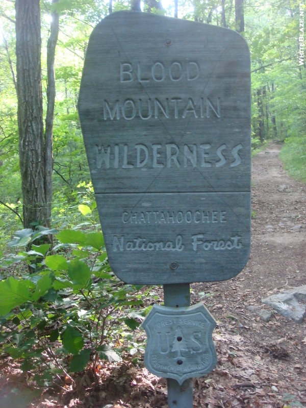 0045 2009.07.14 Entering Blood Mountain Wilderness At Woody Gap