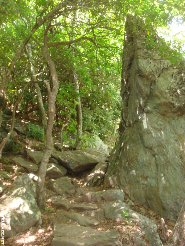 0057 2009.07.14 Trail From Blood Mountain