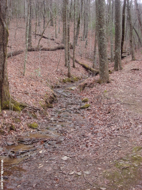 0082 2010.03.13 Creek At Low Gap Shelter