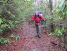 0083 2010.03.13 Matt On Cold Spring Gap Trail