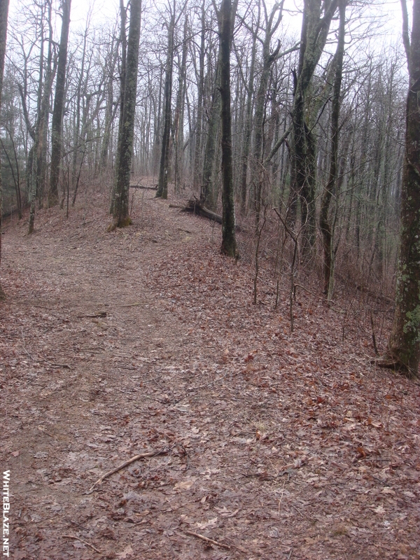 0088 2010.03.13 AT And Jacks Knob Trail Crossing