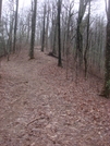 0088 2010.03.13 AT And Jacks Knob Trail Crossing by Attila in Trail & Blazes in Georgia