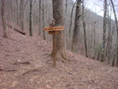 0089 2010.03.13 AT And Jacks Knob Trail Crossing Sign by Attila in Trail & Blazes in Georgia