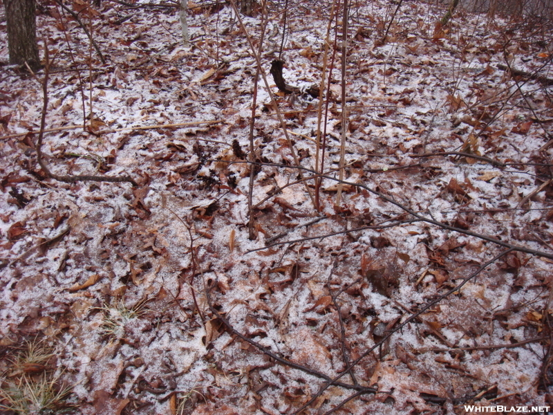 0092 2010.03.13 Sleet On Top Of Blue Mountain