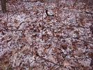 0092 2010.03.13 Sleet On Top Of Blue Mountain by Attila in Trail & Blazes in Georgia