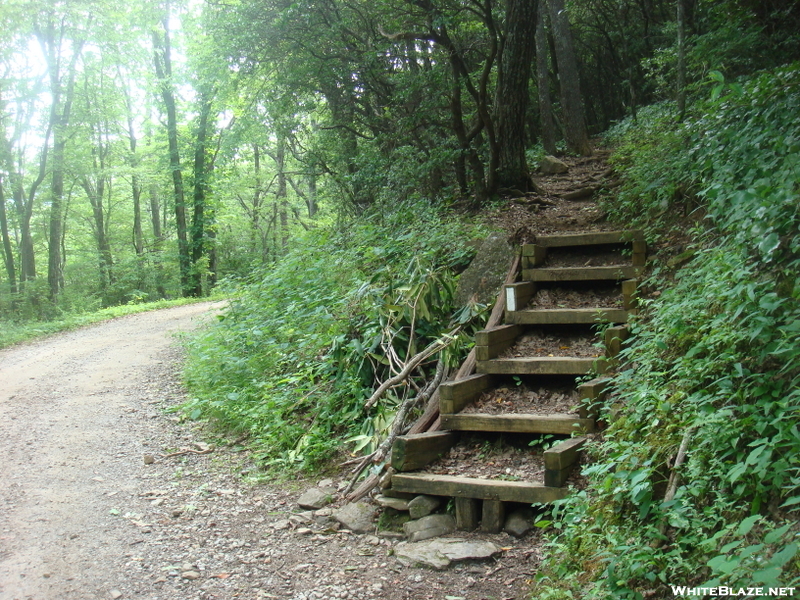 0107 2010.06.11 Nobo Trail At Usfs 79