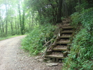 0107 2010.06.11 Nobo Trail At Usfs 79