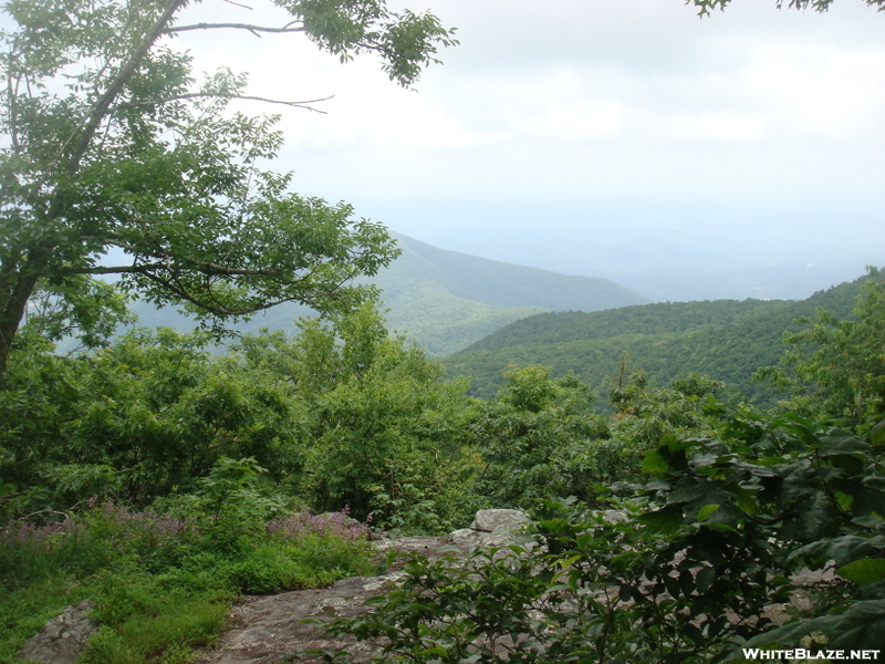 0119 2010.06.11 View From Tray Mountain Shelter Camp Site