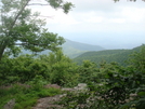 0119 2010.06.11 View From Tray Mountain Shelter Camp Site by Attila in Views in Georgia