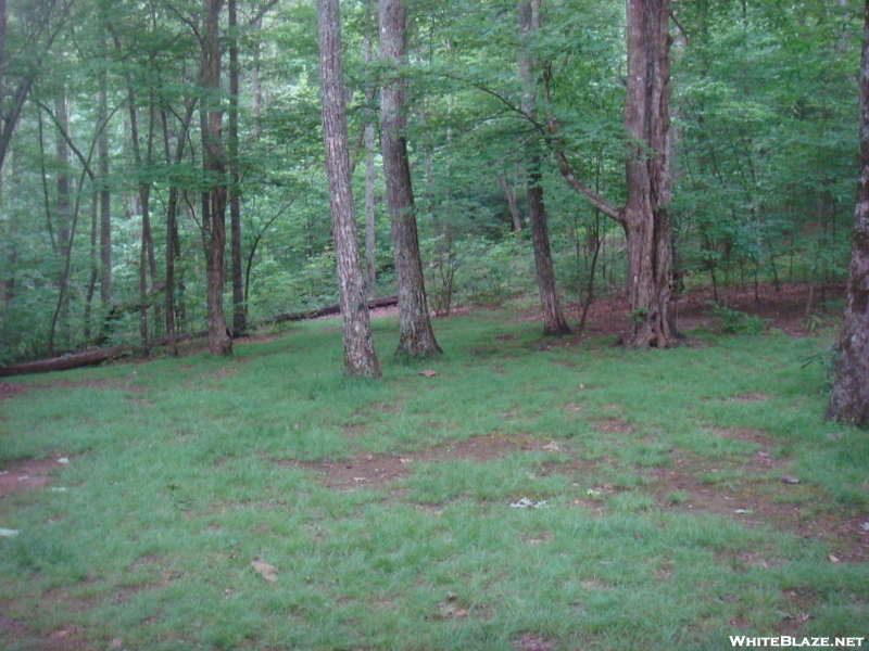 0129 2010.06.12 Deep Gap Shelter Camp Site