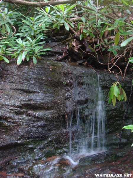 0132 2010.06.12 Small Waterfall South Of Dicks Creek Gap