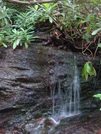 0132 2010.06.12 Small Waterfall South Of Dicks Creek Gap