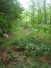 0134 2010.06.12 Dicks Creek Gap Picnic Tables by Attila in Views in Georgia