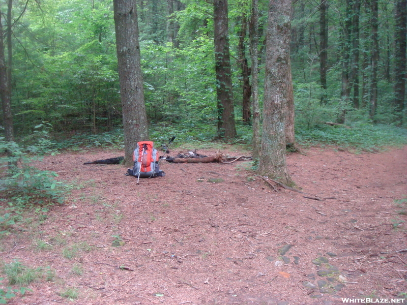 0135 2010.06.12 Cowart Gap Campsite