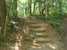 0138 2010.06.12 Blue Ridge Gap Nobo Trail by Attila in Trail & Blazes in Georgia