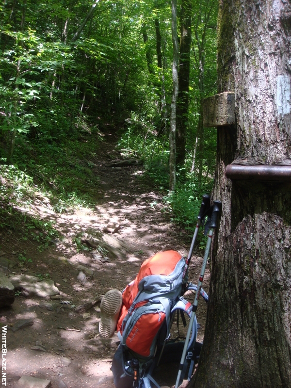 0142 2010.07.13 NC/GA State Line NOBO Trail