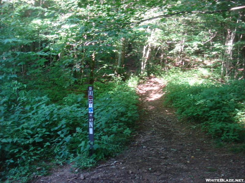 0150 2010.07.13 Deep Gap Nobo Trail From USFS 71