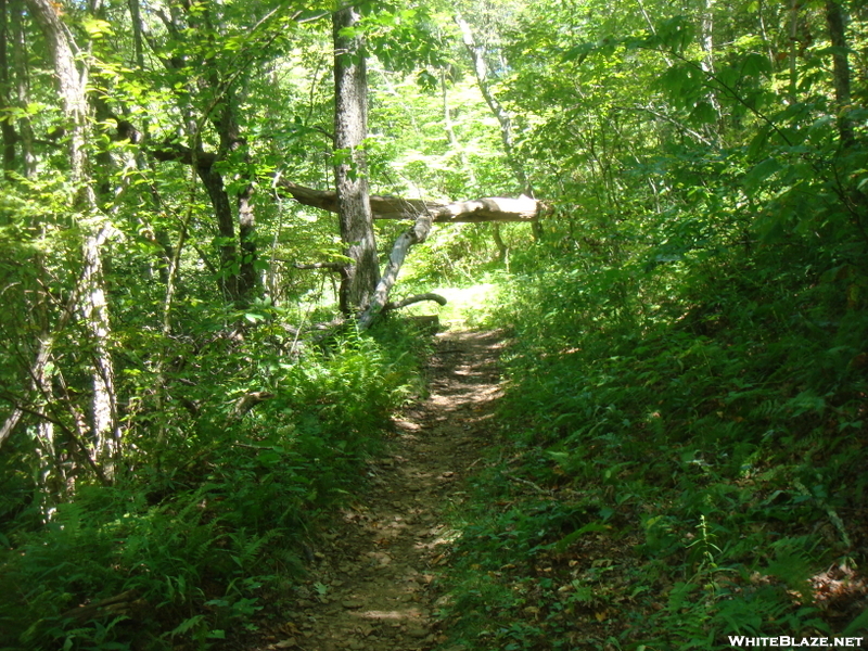 0152 2010.09.04 Standing Indian Mountain Ascent