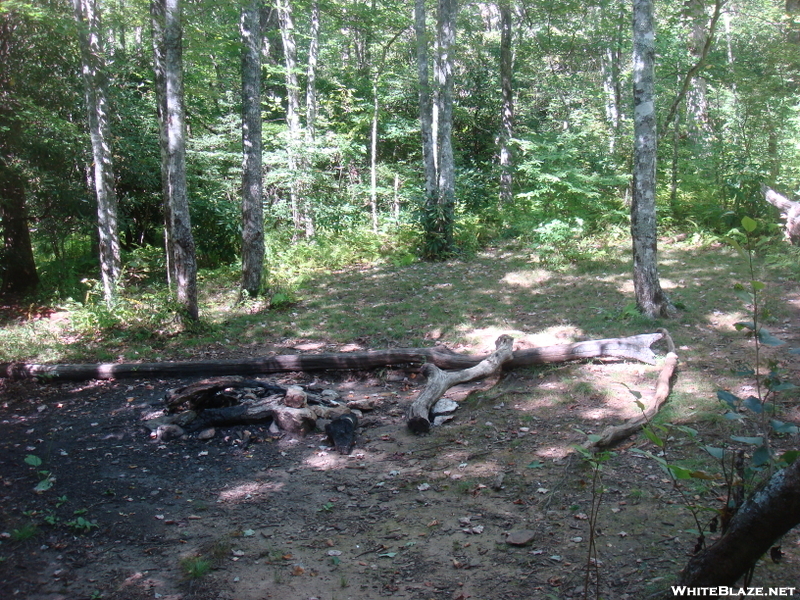 0153 2010.09.04 Beech Gap Campsite