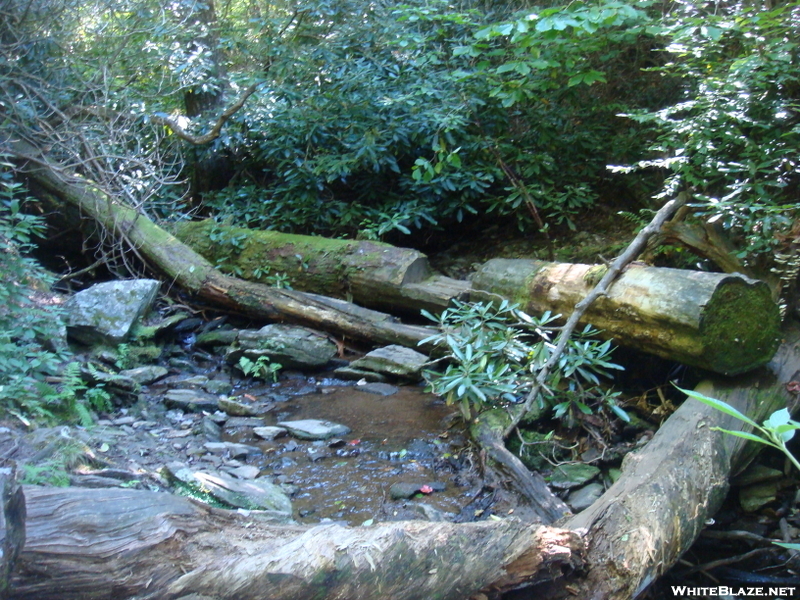 0155 2010.09.04 Creek Crossing North Of Beech Gap