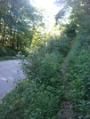 0174 2010.09.05 Wallace Gap Old Us 64 And Nobo Trail